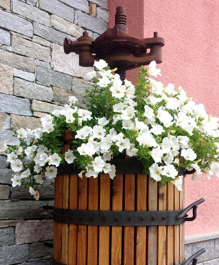 La Rosa Tra I Laghi B&B Meina Exteriör bild